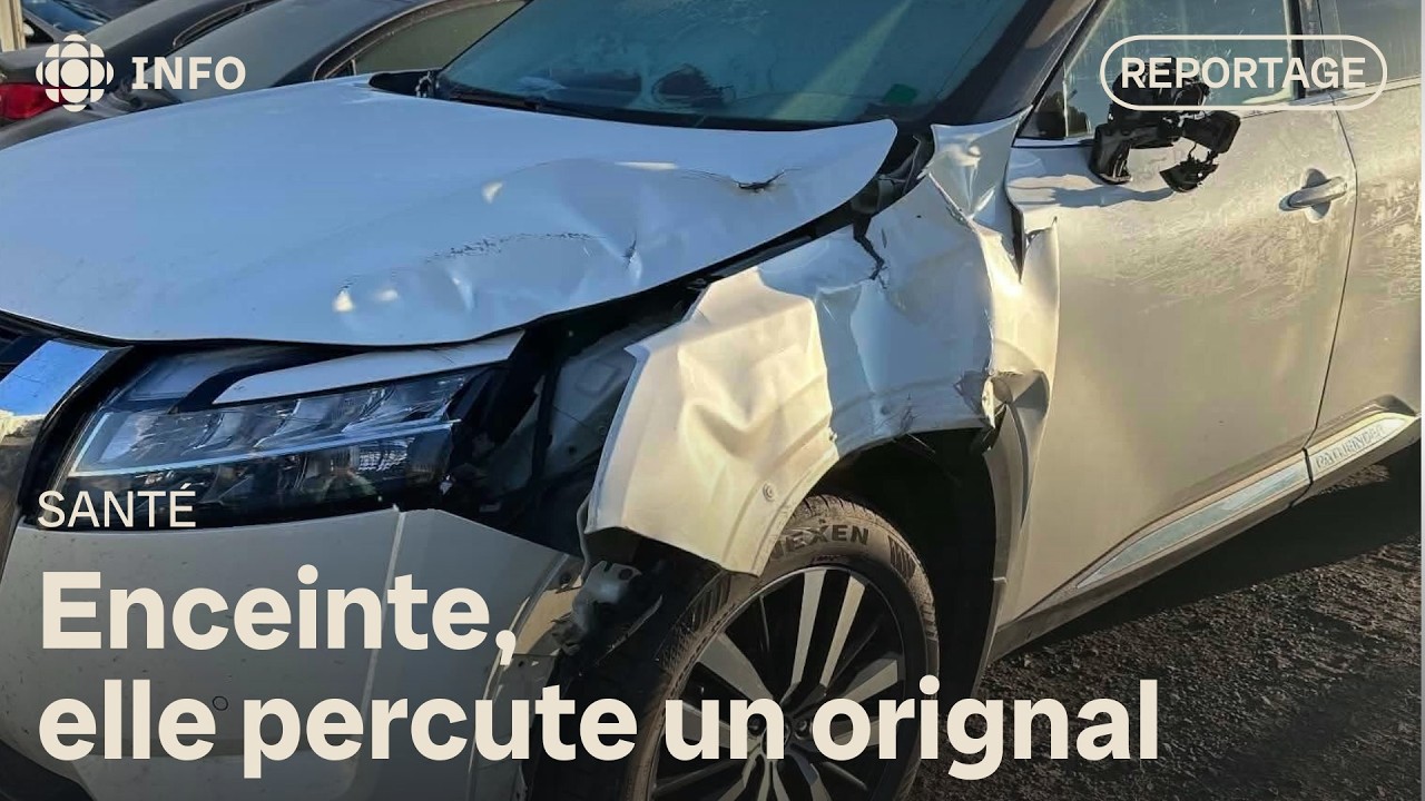 Elle doit rouler 100 kilomètres pour accoucher et frappe un orignal