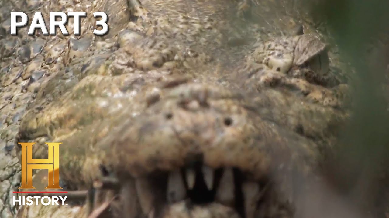 The Hunt for the 40-Foot Crocodile | MonsterQuest | Full Episode (Part 3)