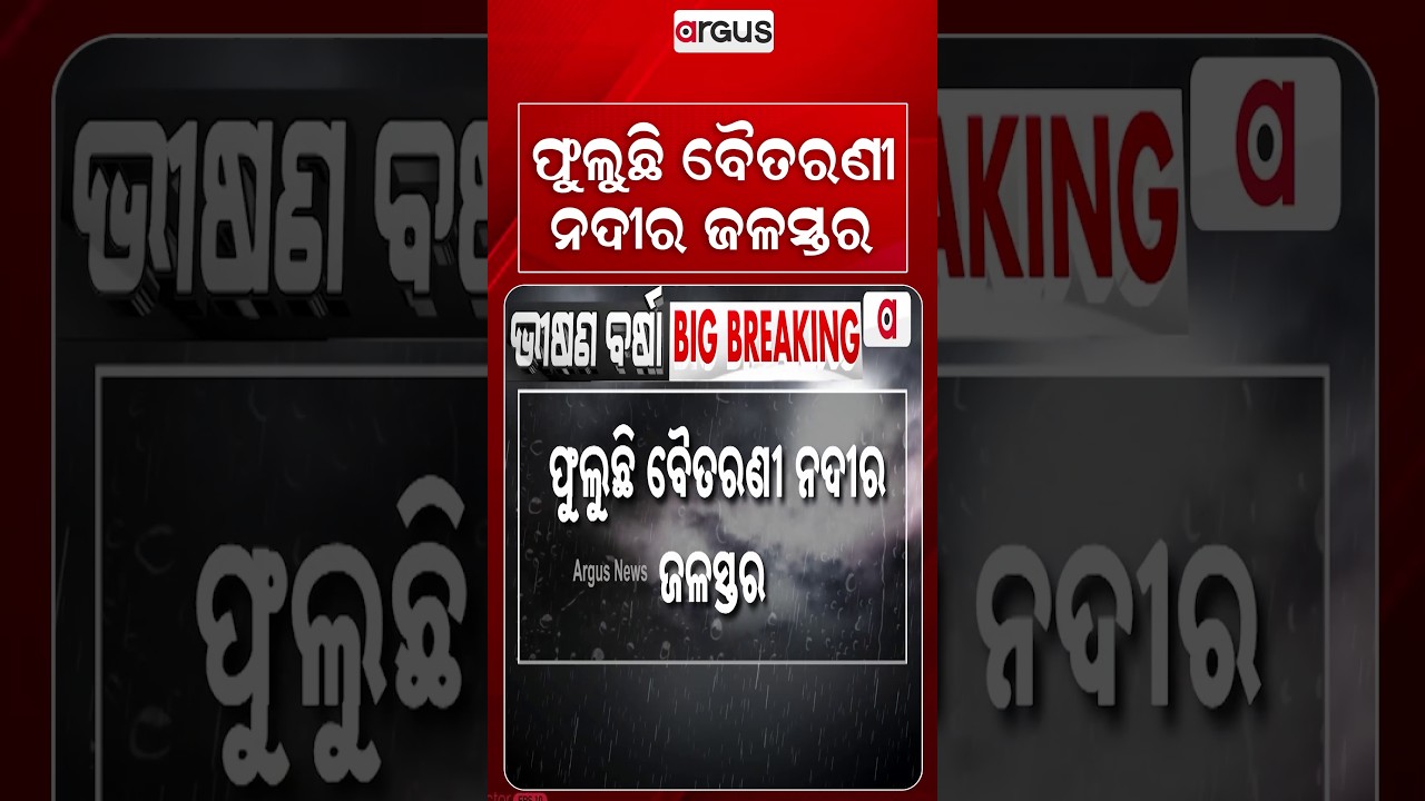 ଫୁଲୁଛି ବୈତରଣୀ ନଦୀ... | Baitarani & Salandi Cross Danger Marks: Bridges Submerged in Bhadrak