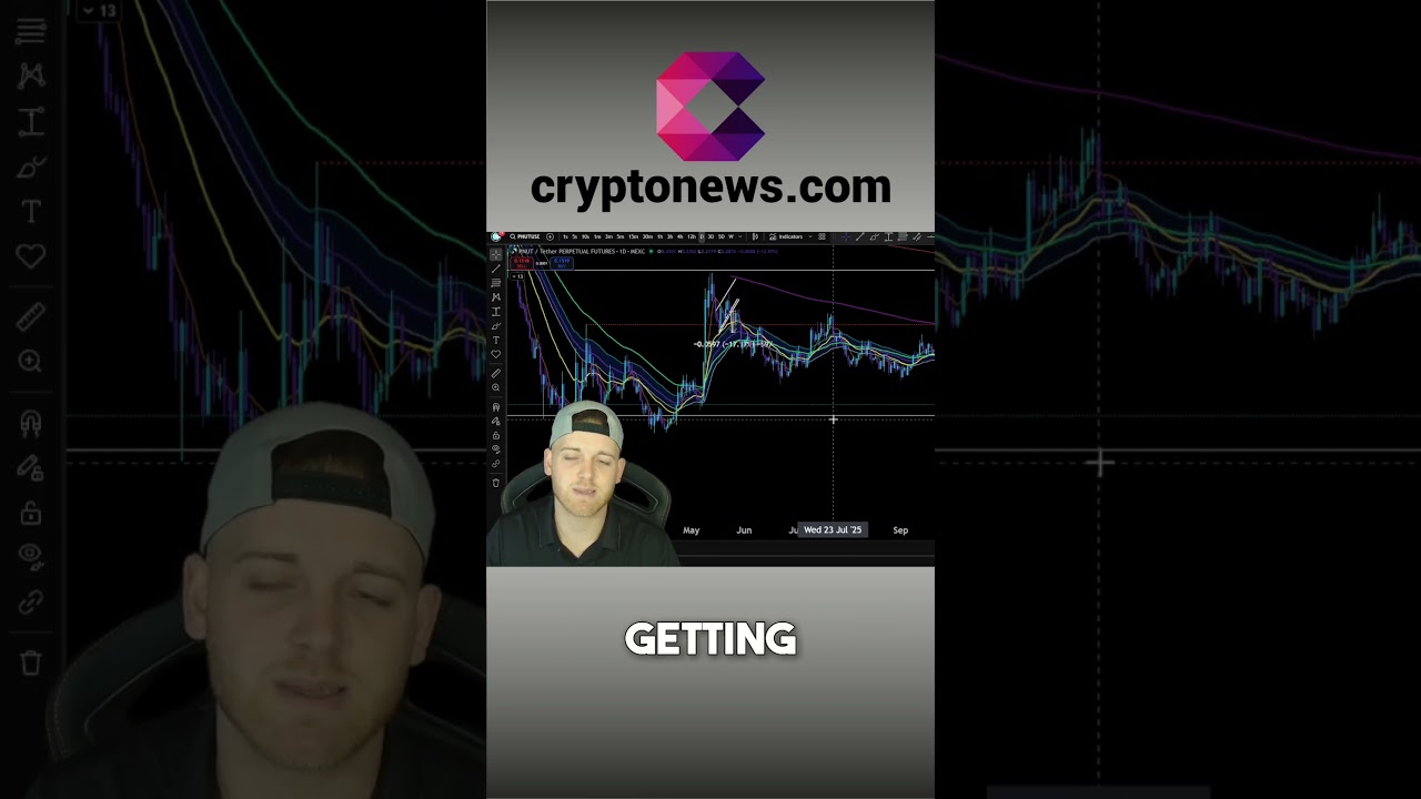 Peanut: Is This Crypto a Huge Buying Opportunity? 💰shorts