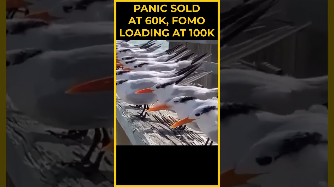 Panic Sold BTC At 60k, FOMO Loading at 100k