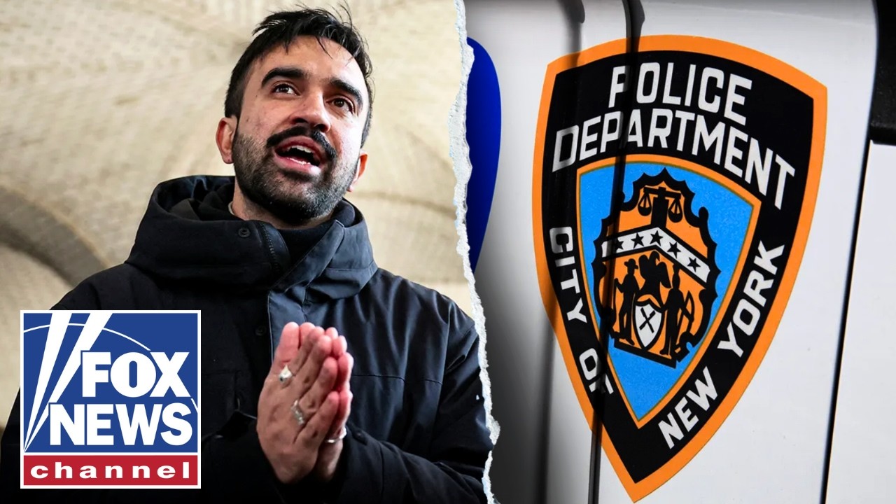 Dem ROASTS Mamdani: ‘Job-killing socialist’