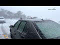 Algeria | Heavy Snowfall In Algeria | Live | News9