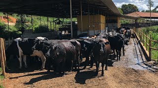 “Fazendas de Sucesso” Fazendas Reunidas Santo Antônio  -TV Jersey  #21
