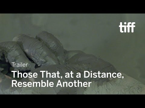 Those That, at a Distance, Resemble Another'