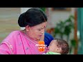 Trinayani | Ep 1256 | Preview | Jun, 4 2024 | Chandu Gowda And Ashika Gopal | Zee Telugu - 01:15 min - News - Video