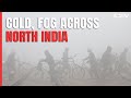 Foggy Morning, Cold Wave Continue Across North India, Flight Ops Hit