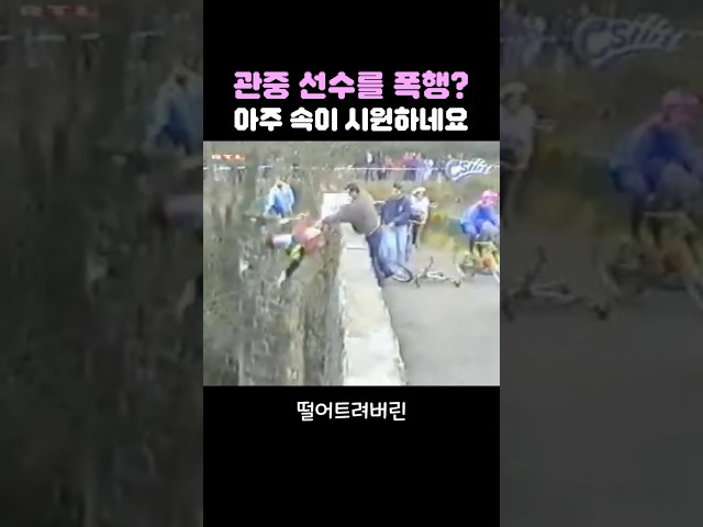 관중이 선수를 폭행한 사건! 아주 속이 시원하다~