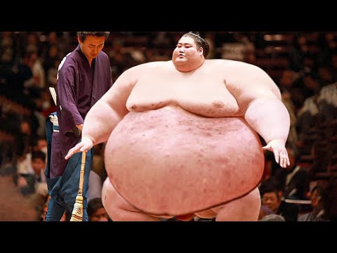 Во просек тежат 150 килограми и уште 13 забавни факти за сумо борачите