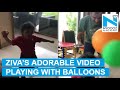 MS Dhoni shares an adorable video of Ziva