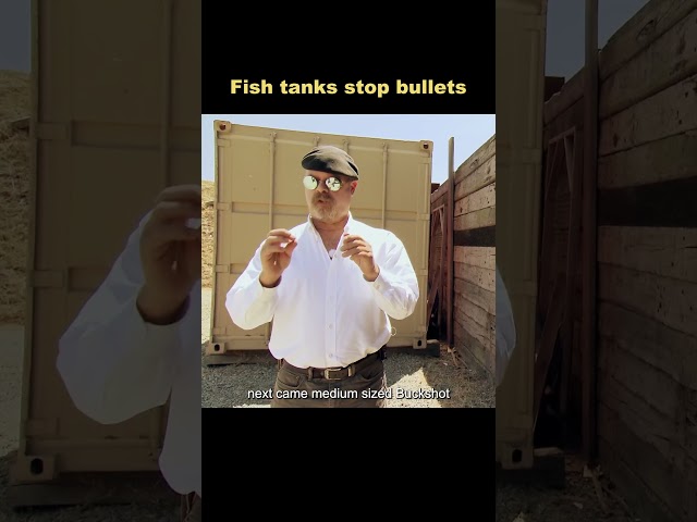 Fish tanks can withstand shotguns?