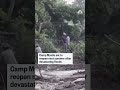 Camp Mystic set to reopen next summer after devastating floods  - 01:31 min - News - Video