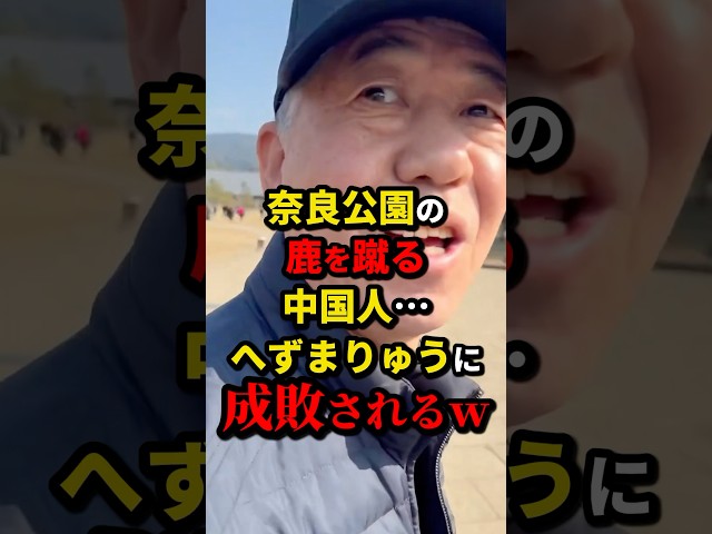 ㊗️400万再生!!元迷惑系、覚醒するww #shorts #政治