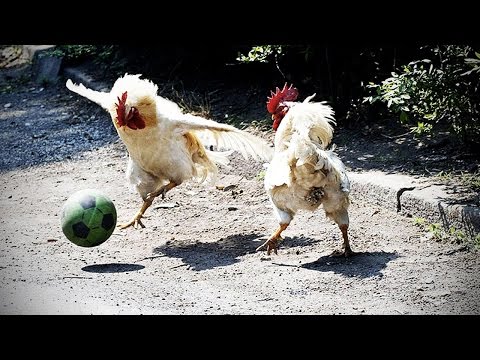 Kırmızı havyarın ne düşlediğini öğreniriz 94