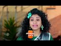 Trinayani | Ep 1190 | Preview | Mar, 16 2024 | Chandu Gowda And Ashika Gopal | Zee Telugu  - 01:06 min - News - Video