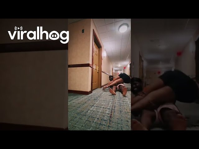 He Really Asked for a Roll of Tissue   || ViralHog