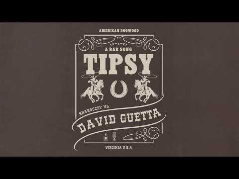 Shaboozey vs. David Guetta - A Bar Song (Tipsy) [Remix] (Official Visualizer)