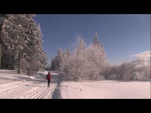 Video der Unterkunft