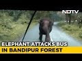 Panic Video : Elephant charges at Bus
