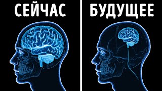 Вы постоянно теряете клетки мозга // 150 удивительных фактов о вашем теле