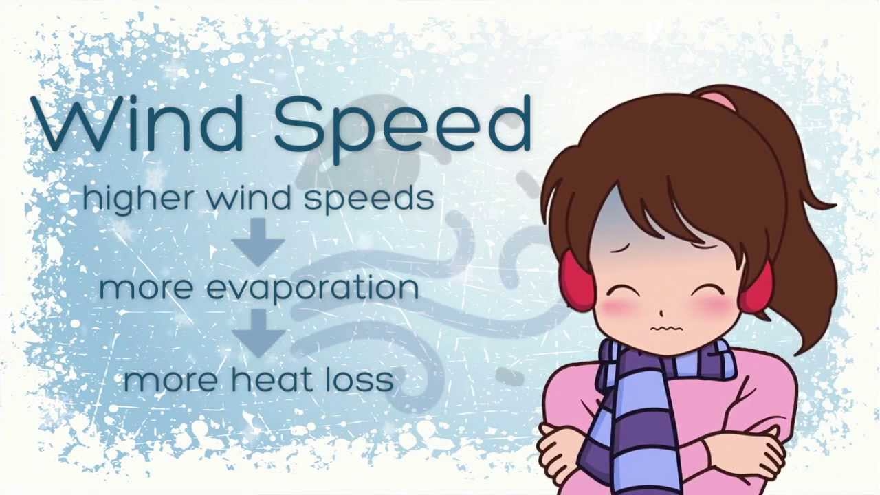 what-is-the-wind-chill-index-youtube