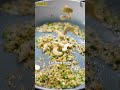 Ever tried Moong Infused-Galouti? If not, you’re about to discover something really amazing!!! 😍  - 00:59 min - News - Video
