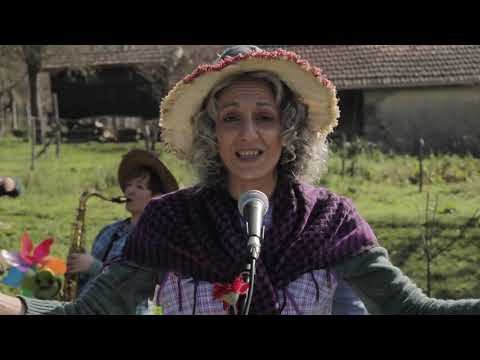 Timparrantela - As Cores da Galiza