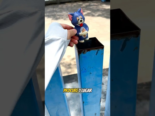 🙀 Ei Gato...é Proibido Dormir nos Canos ! 😅