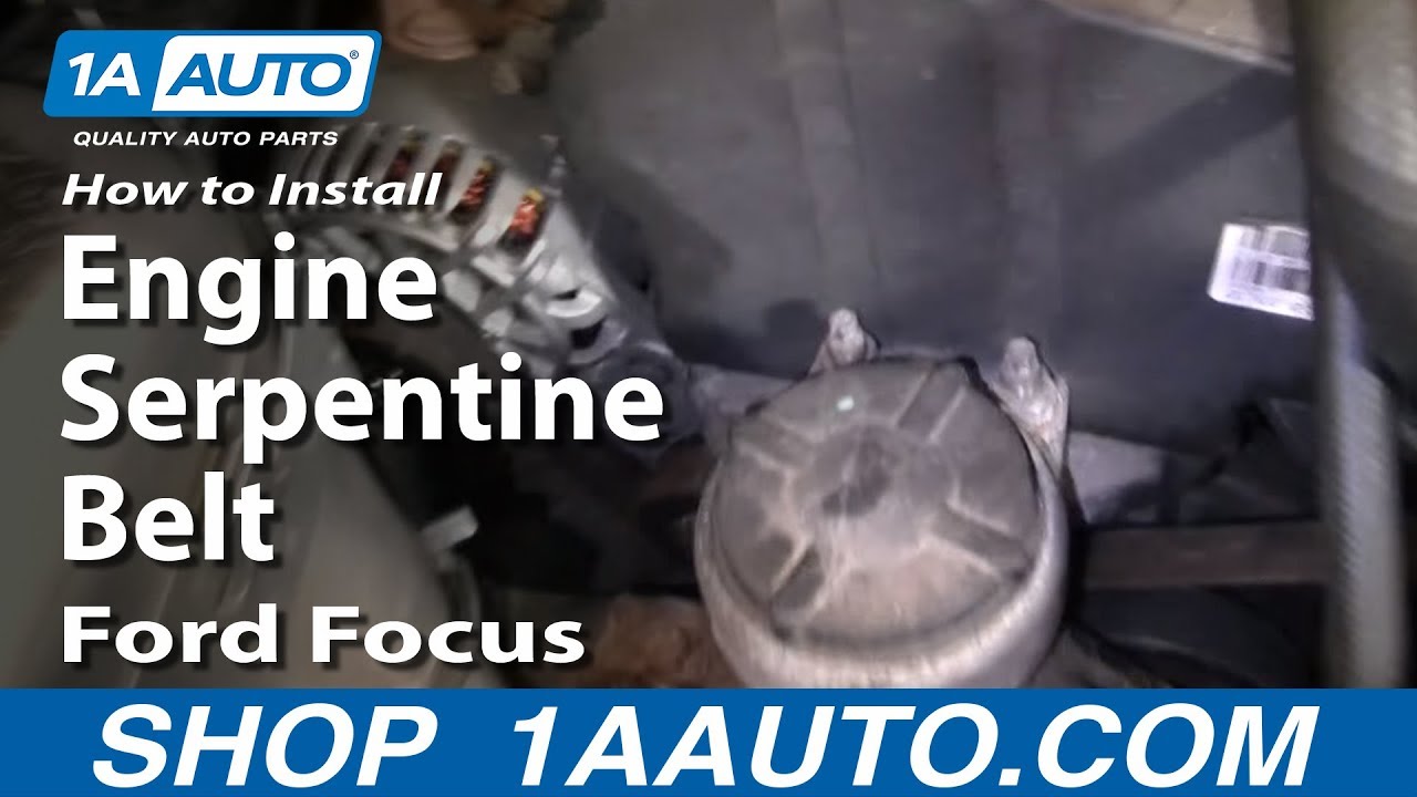 Change auxiliary belt ford focus #7