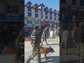 A Casual Day At Srinagars Lal Chowk  | Pre-Post Abrogation Of Article 370 | NewsX  - 01:55 min - News - Video