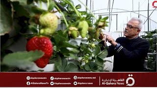 مهندس من غزة يلجأ للزراعة العمودية للتغلب على تقلص الأراضي