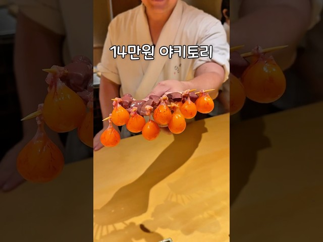 도쿄에서 야키토리 오마카세을 주문하면 생기는 일