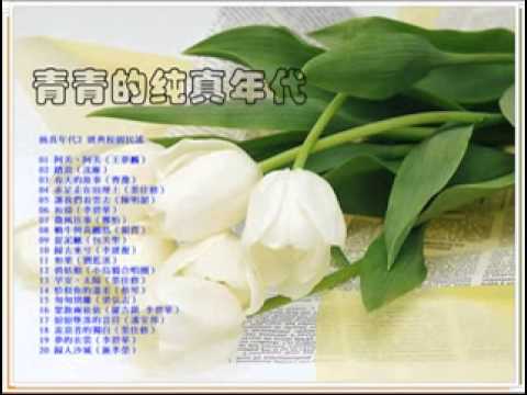 純真年代2 台灣經典校園民謠