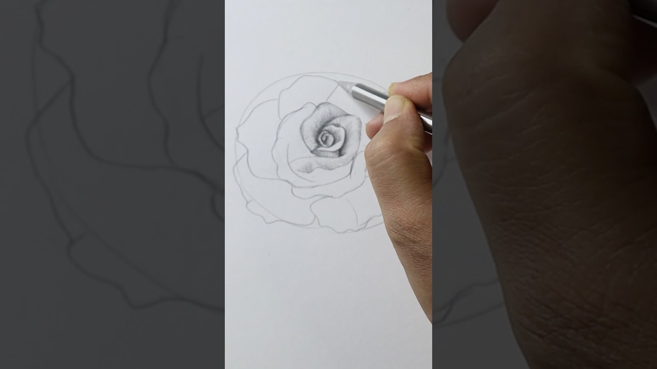 Flower 🌹 Drawing with Curve lines - Day 10 #shortsfeed #shorts #learning #drawing #beginners #paint