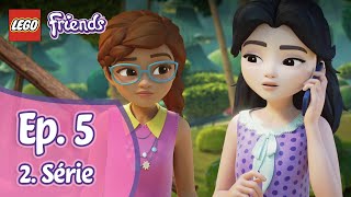 Lego Friends 2x5