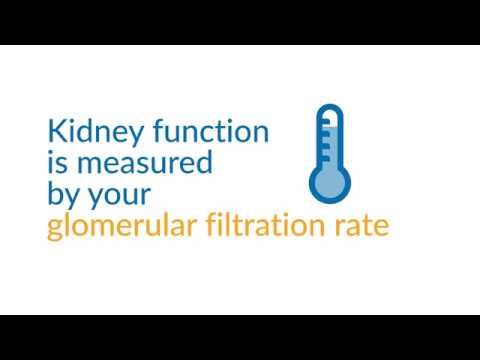 How Is Kidney Function Measured?