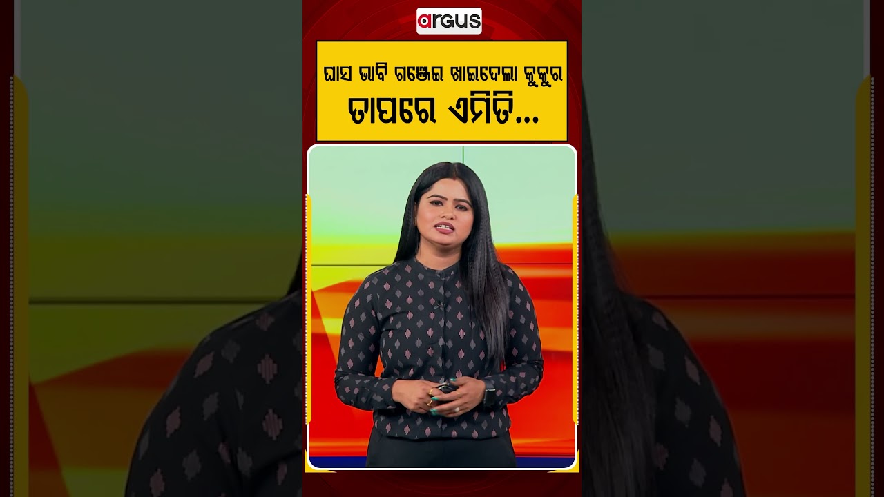 ଘାସ ଭାବି ଗଞ୍ଜେଇ ଖାଇଦେଲା କୁକୁର ! | Pet Safety | Viral Video | Animal Lovers | Argus News