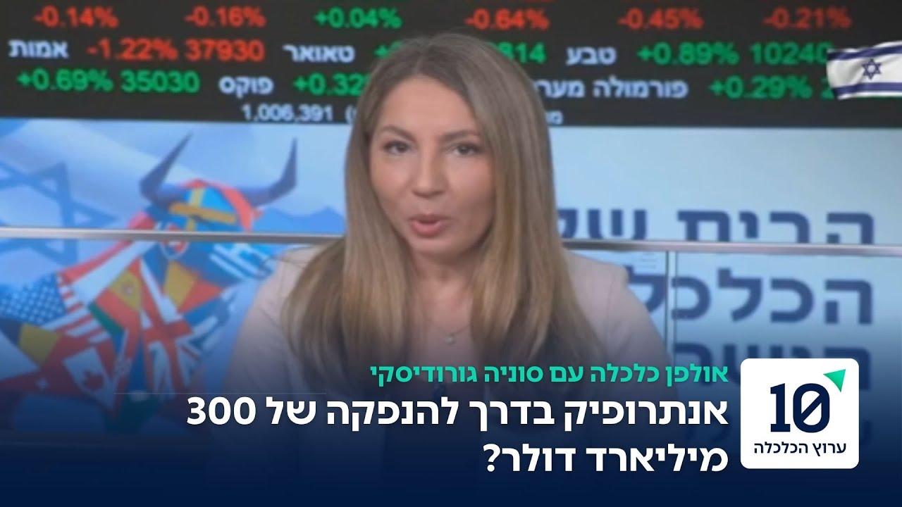 אנתרופיק שוקלת הנפקה: החברה מאחורי קלוד מוערכת בשווי של כ-300 מיליארד דולר
