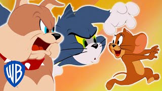 Tom a Jerry - nejlepší honičky
