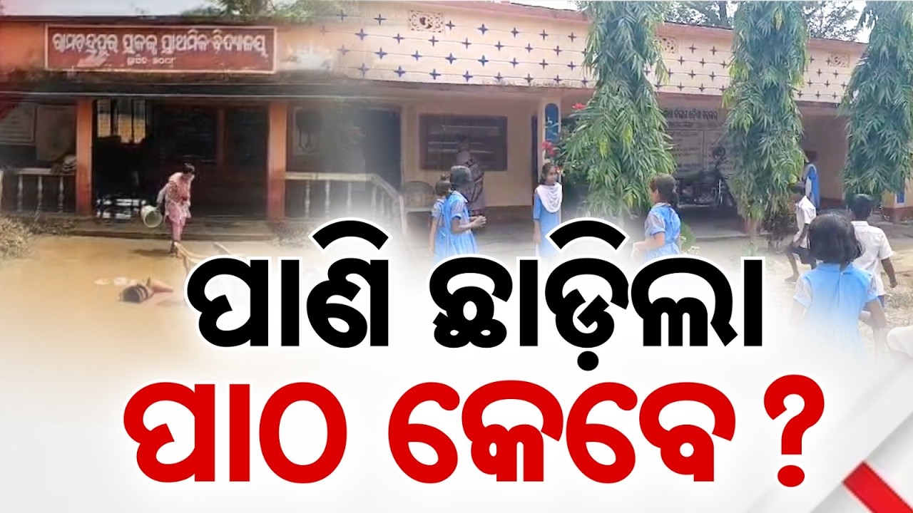 Schools Reopen After Floods Recede In Odisha; Education Triumphs Over Calamity | Argus News