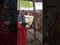 andariki ugadi subhakankshalu - 01:01 min - News - Video