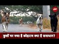 Dog Attack: तेजी से बढ़ रहे हैं Dog Bites के मामले, क्या है समाधान? Explainer Mihir Gautam के साथ