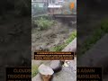 Uttarkashi Cloudburst Triggers Flash Floods, No Casualties Reported | News9 | #ytshorts  - 00:41 min - News - Video