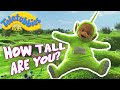 How Tall Are You  Toddler Learning  Grow with the Teletubbies - YouTube