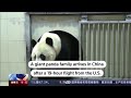 Giant panda family arrives in China from US  - 00:24 min - News - Video