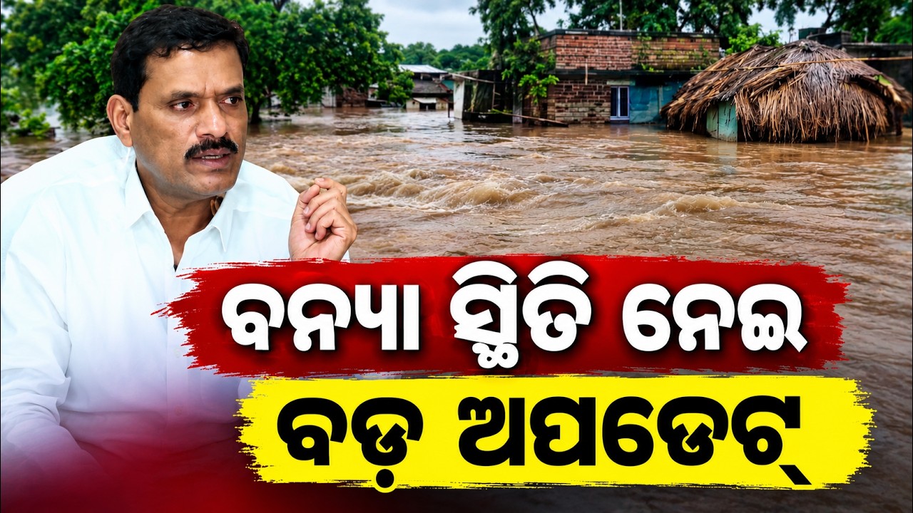 ବନ୍ୟା ସ୍ଥିତି ନେଇ ବଡ଼ ଅପଡେଟ୍‌...| Odisha Flood Update | Odisha Weather | Odisha News | Argus News
