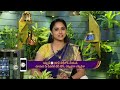 Aarogyame Mahayogam | Ep - 1023 | Webisode | Oct, 23 2023 | Manthena Satyanarayana Raju | Zee Telugu