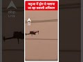 Jammu Kashmir: कठुआ में ड्रोन से चलाया जा रहा तलाशी अभियान | ABP Shorts