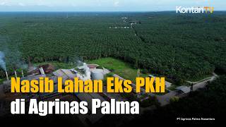 Kelola Lahan Eks PKH, Agrinas Palma Libatkan Koperasi dan Masyarakat