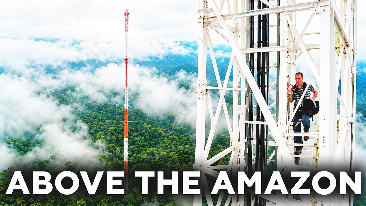 The 325 Meter (1,066 Feet) Tower Built Into the Amazon Sky
